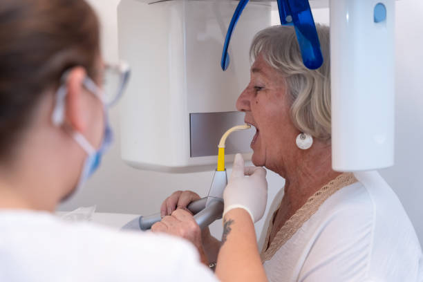Best Emergency X-Rays and Diagnostics in Mohnton, PA
