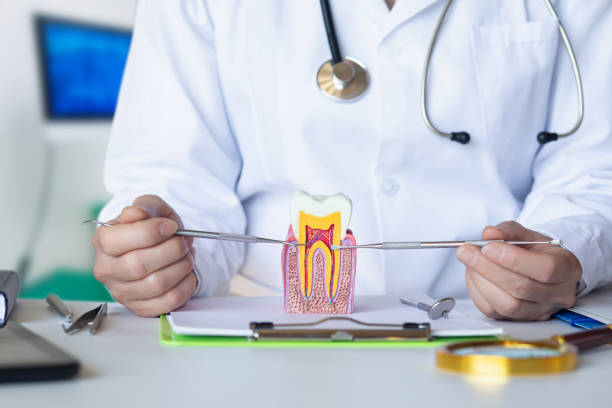 Best Emergency Treatment for Jaw Pain or Injury in Mohnton, PA